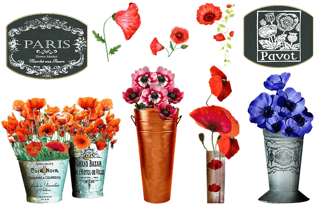 שוק הפרחים בפריז