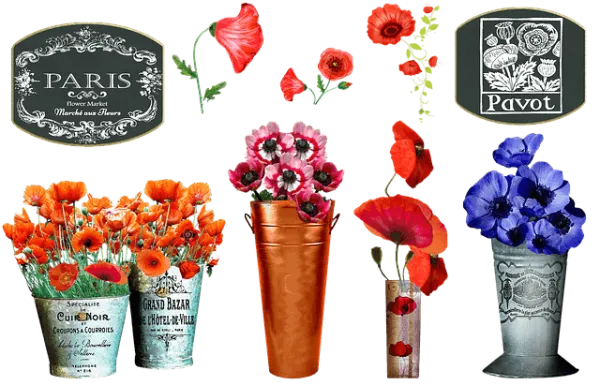 6 שווקים המומלצים ביותר בפריז